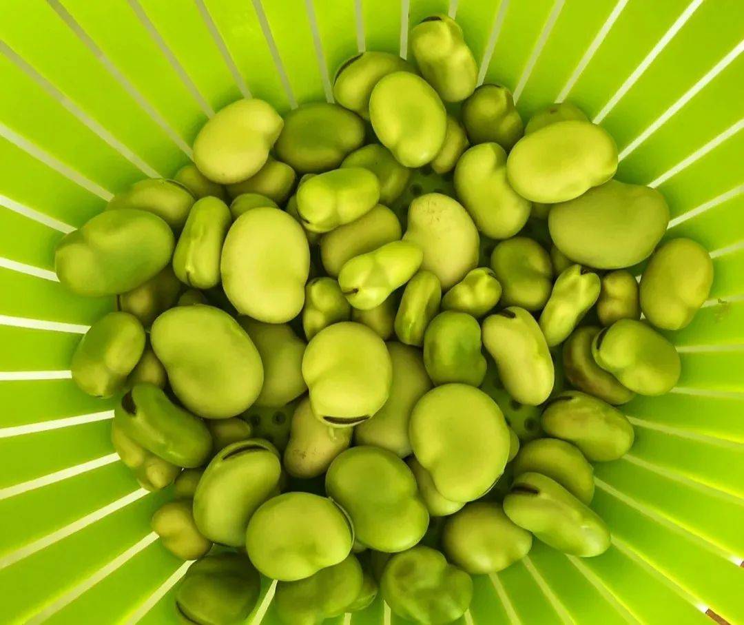 原创春吃豆胜过肉这4种春豆要常吃低脂营养高甩掉大肚腩身体棒