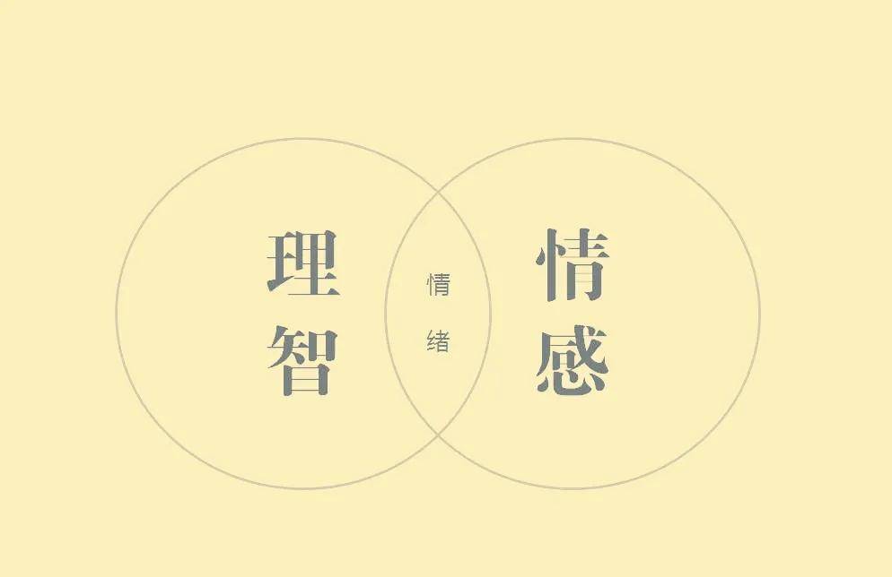 理性与情感交织