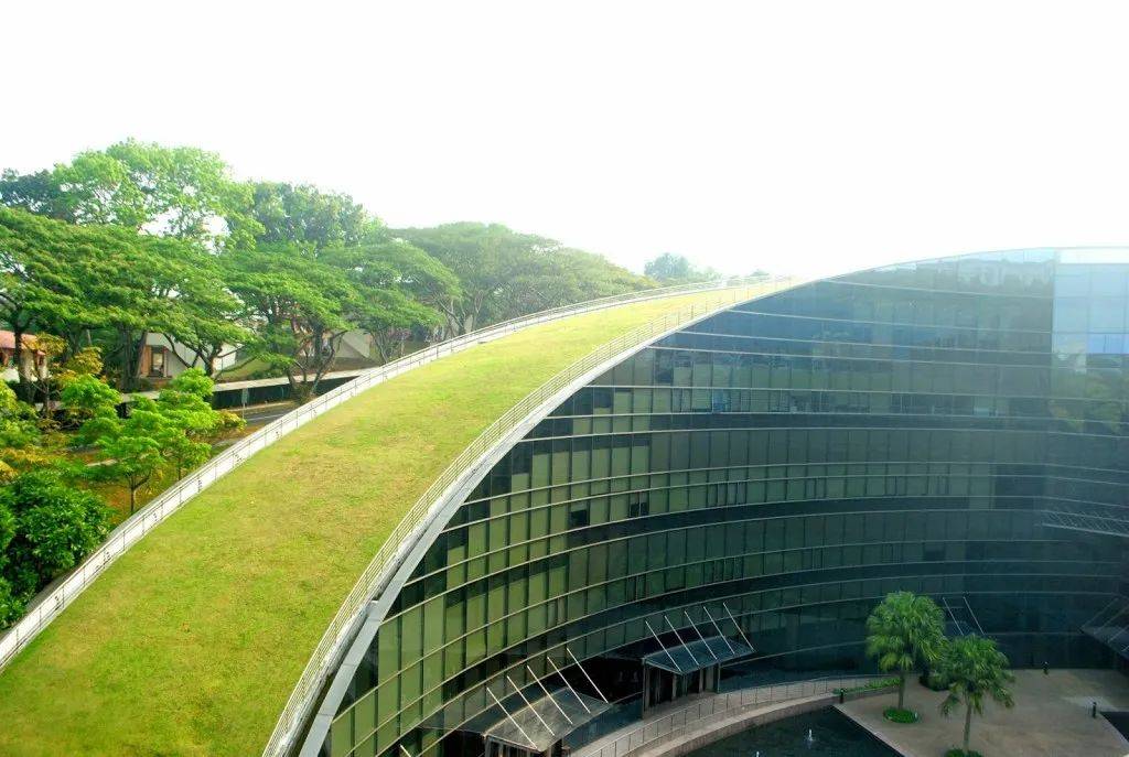 南洋理工大学计算机控制与自动化理学硕士申请要求及录取案例