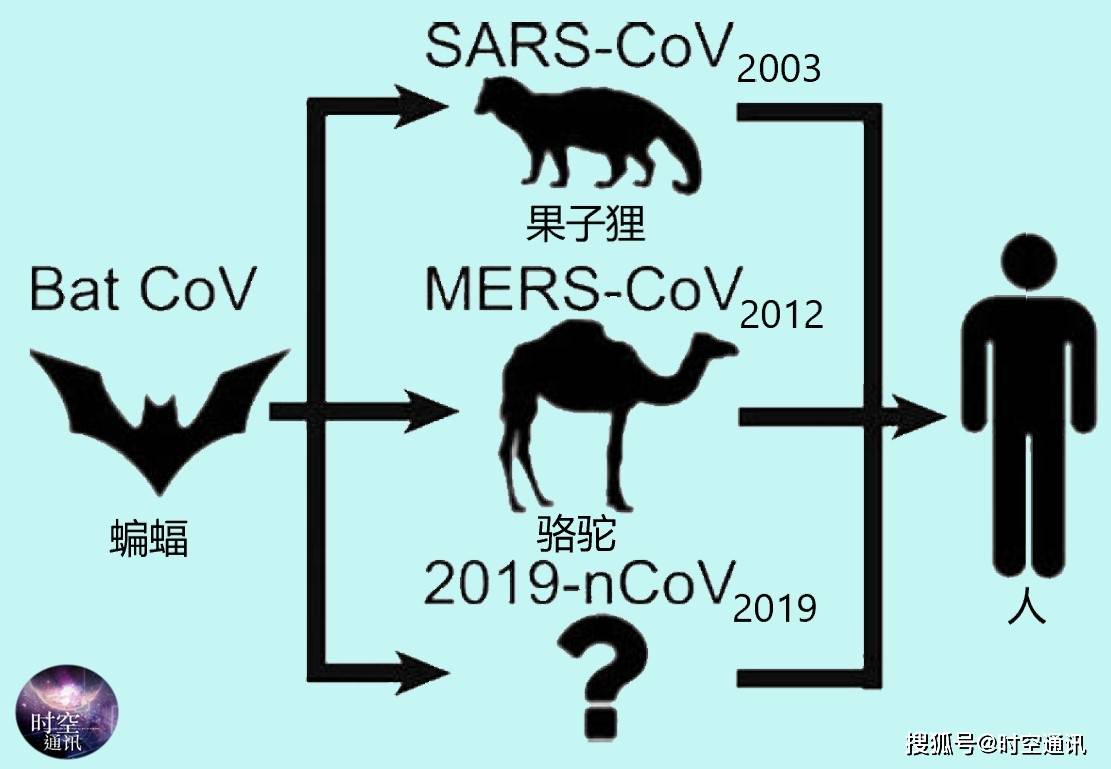 新冠疫情何时能被扑灭科学家确认病毒已在鹿中流行