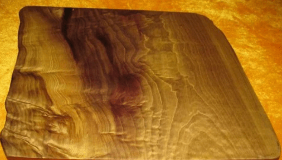 原创一棵树值25亿金丝楠木贵如黄金树苗才12元却没人种植