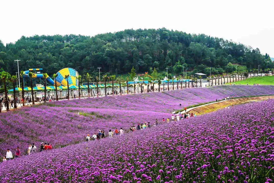 遂宁射洪螺湖半岛最新详情螺湖半岛售楼处电话具体地址