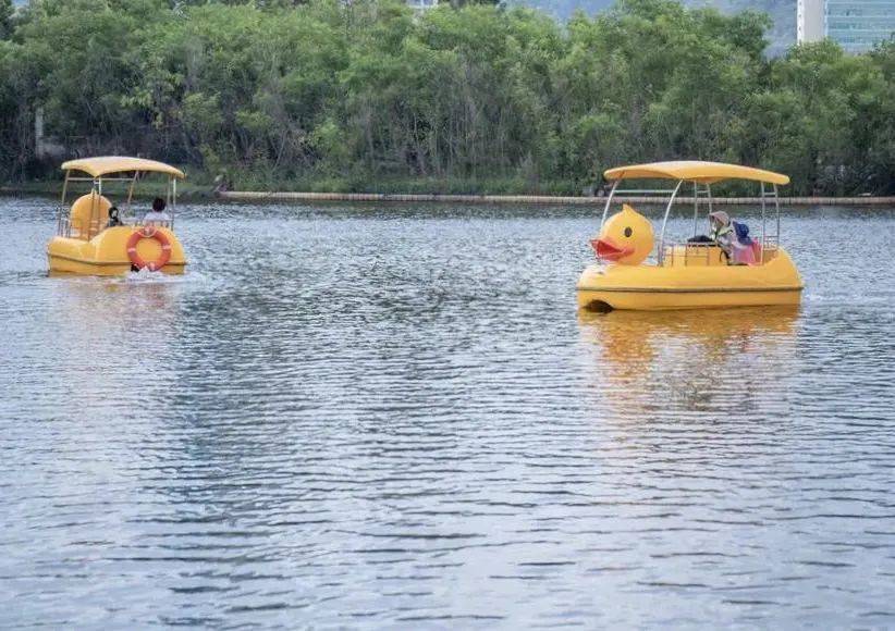 新晋打卡地丨教育城又添新伙伴超萌小黄鸭脚踏船上线