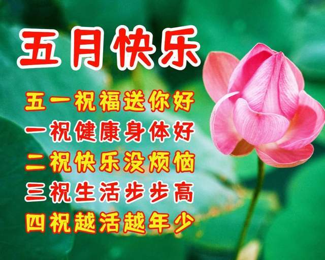 迎接五月你好的祝福语愿你幸福五月快乐