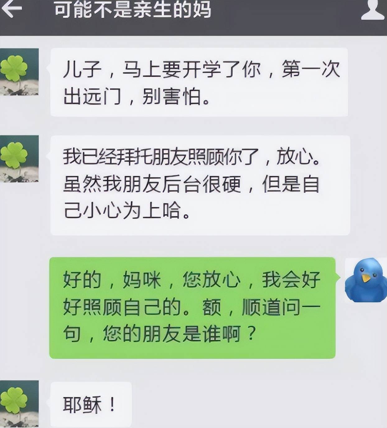 原创德云社在逃家庭大学生和父母聊天记录流出逗哏捧哏分工明确