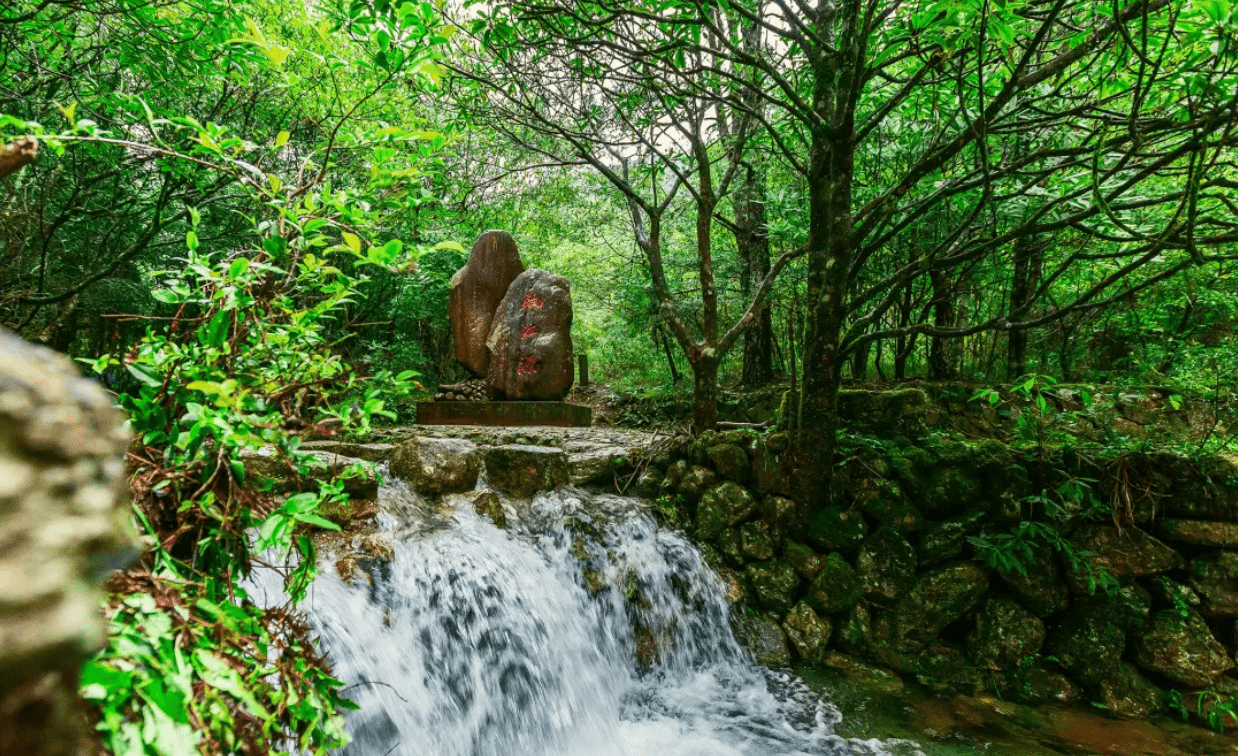 余姚最值得一去的旅游景点有哪些看完这一篇攻略就够了