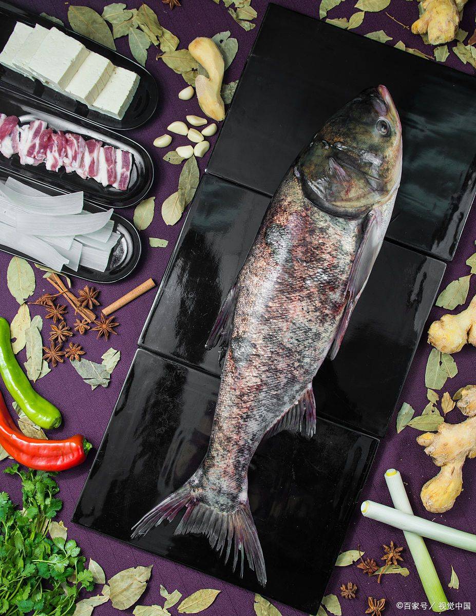 原来鱼也有地位之分,涨知识了_鳙鱼_养殖_草鱼