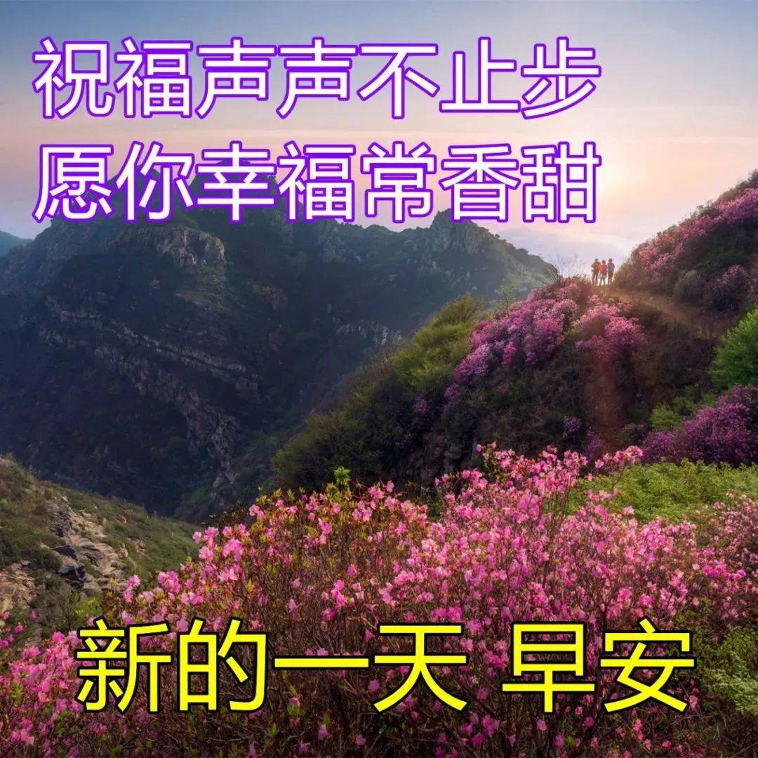 原创8张最新漂亮风景早上好祝福图片早安漂亮图片温馨问候祝福语