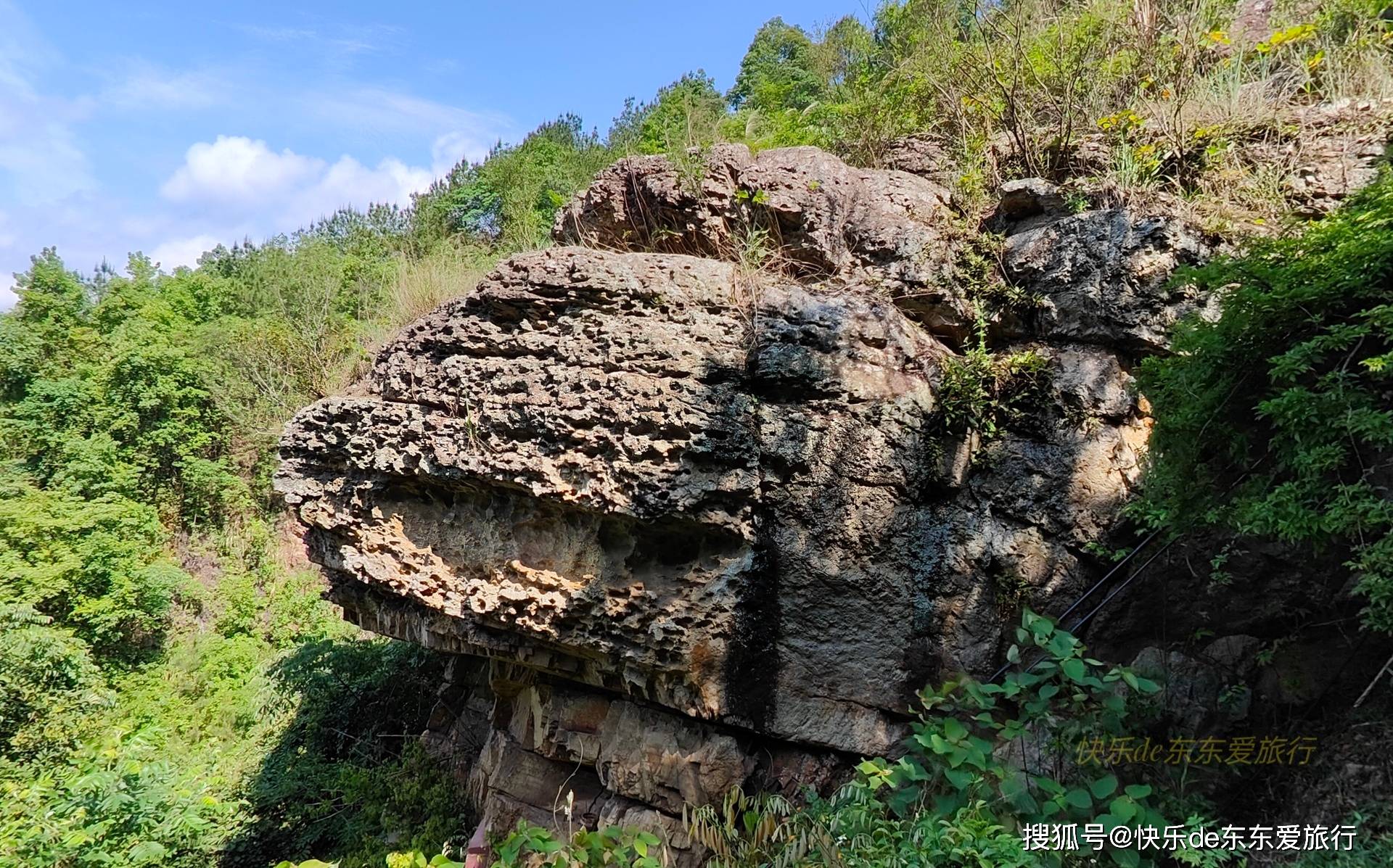 書坑至潮塘石砌古道落葉滿地鳥語花香清風流水休閒避暑好地方