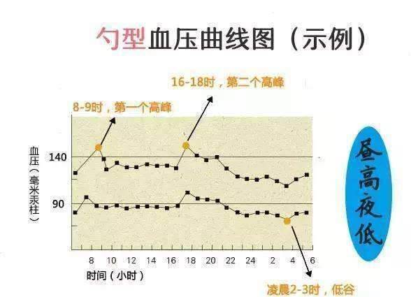 测血压,一天中哪个时间测得最准?看完你就懂了_指导_情况_高峰