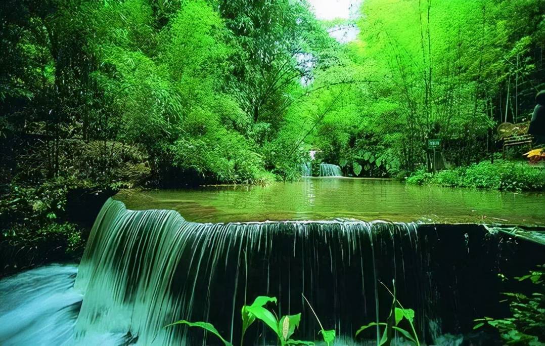 湖南值得去的景区，是我国区域最大的竹林区域，被誉为亚洲大竹海