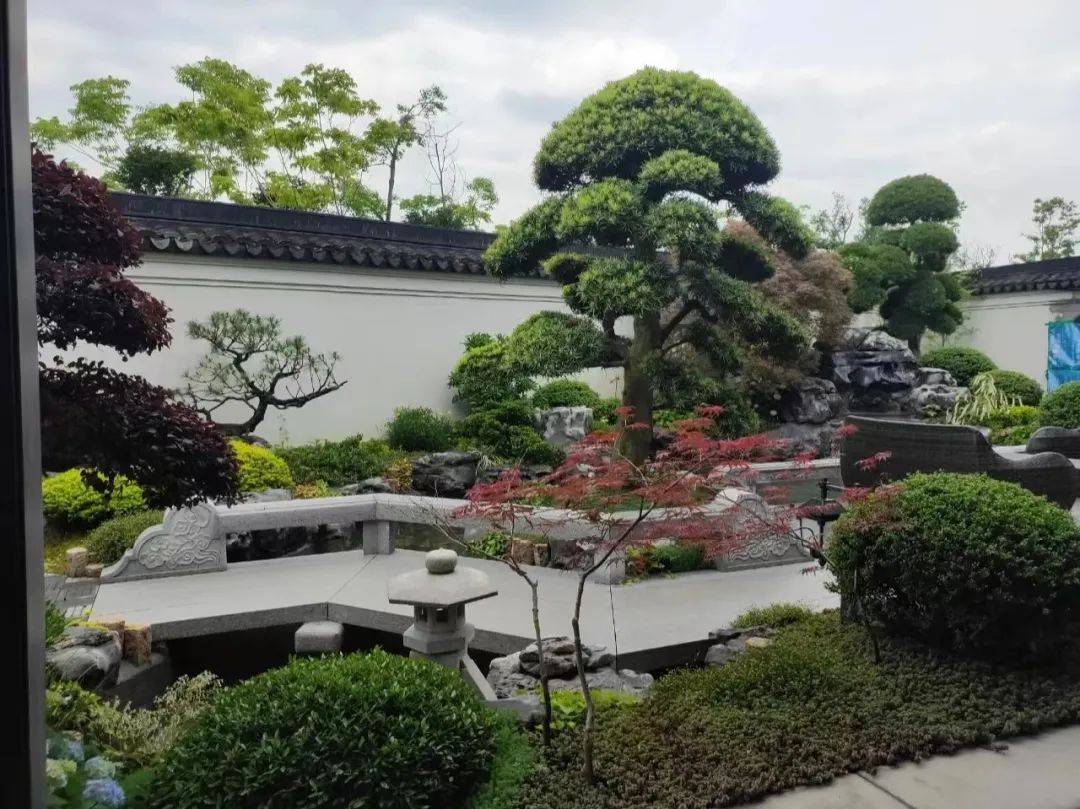 六大风格庭院，植物配置全知道！_乔灌木_自然_花卉