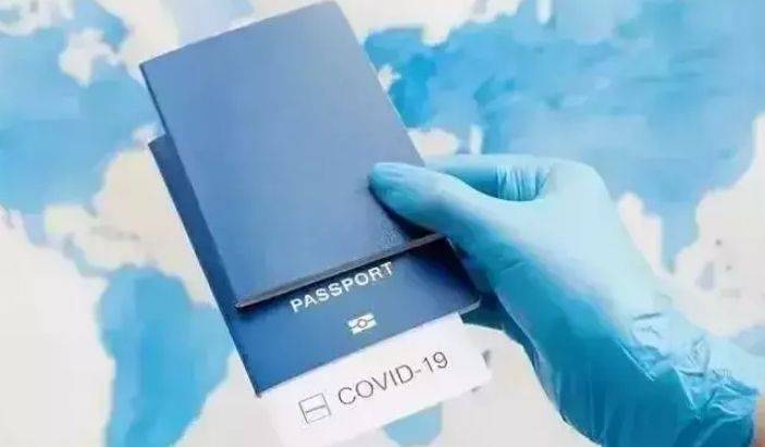 手把手分享从国内入境新加坡如何拿到通行证