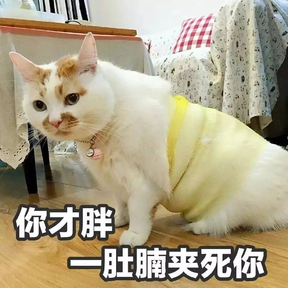 越吃越胖的十大水果排行榜吃一口比肉还肥你还可能天天吃