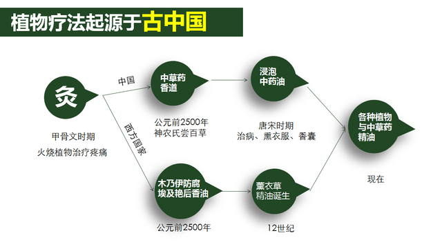 山东中康新材料一文带你了解植物精油抗菌剂发展历史