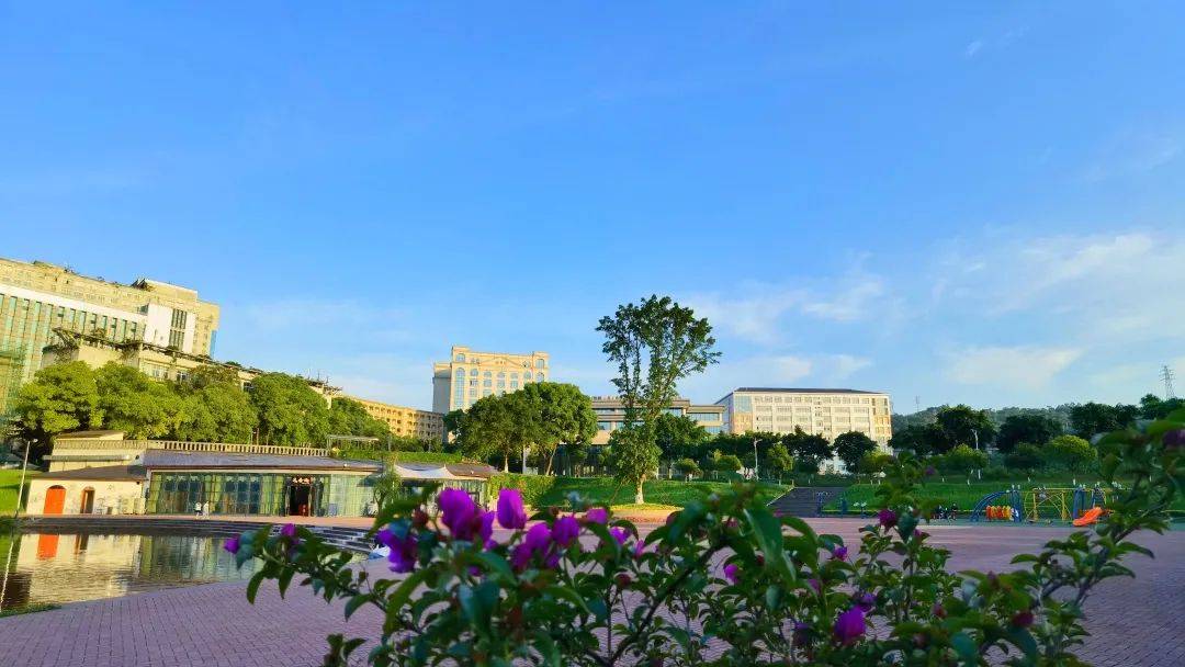 立夏一起来赏重庆科创职业学院初夏美景
