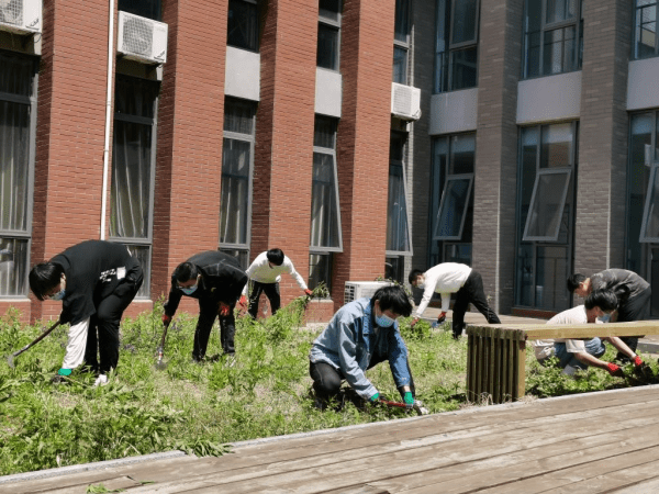 安徽理工大学开展校园劳动教育系列活动_工作_开心农场_实践