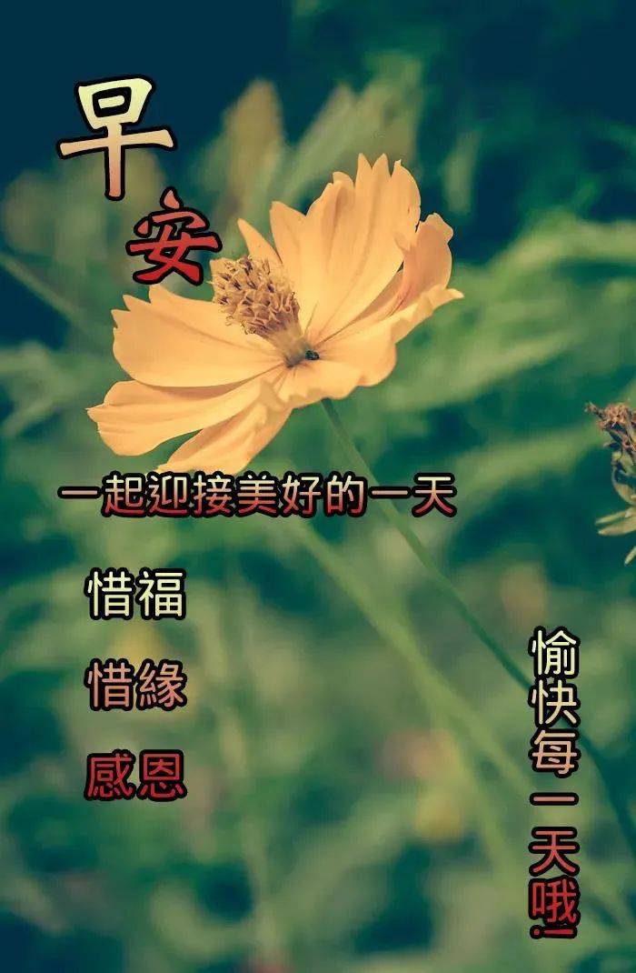 8張清新漂亮夏天早安早上好圖片帶字帶祝福語 免打字聊天的朋友圈問候