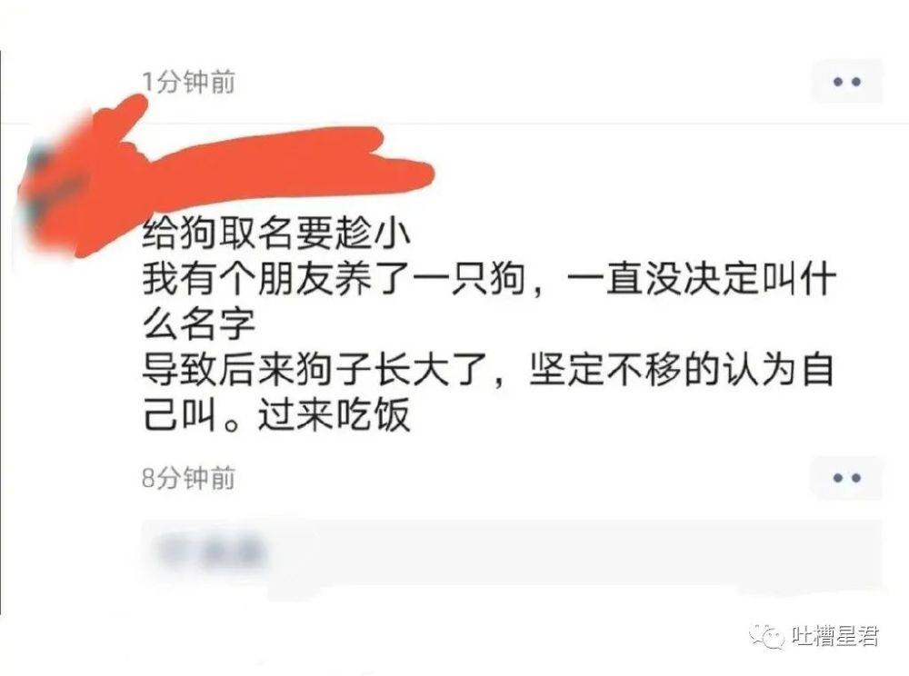 原創快樂源泉陳坤兒子到底和誰生的沙雕網友曝光疑似生母哈哈哈笑抽了