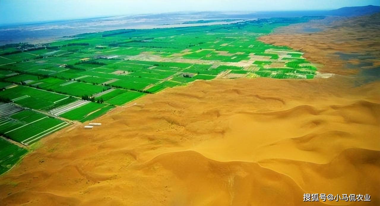 原創甘肅突現吞沙巨獸1天綠化48畝沙漠種草灌溉一體大國重器