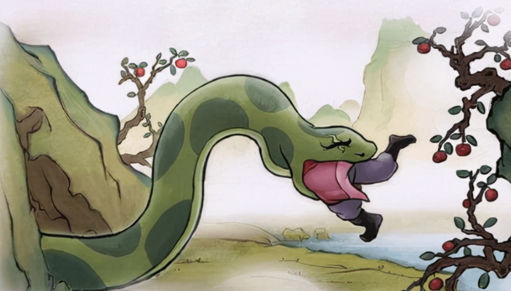 野生动物园_蟒蛇_猎物