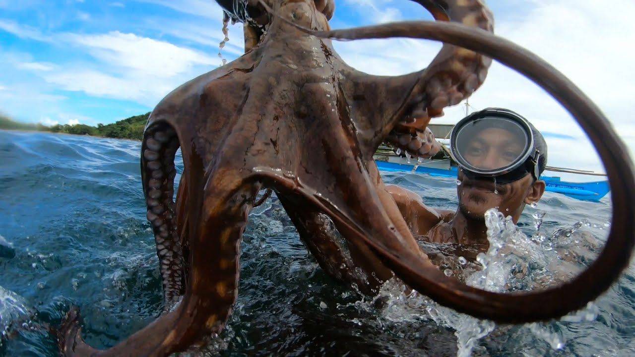 捕抓一只大章鱼竟然要4个人齐出动这真是个技术活