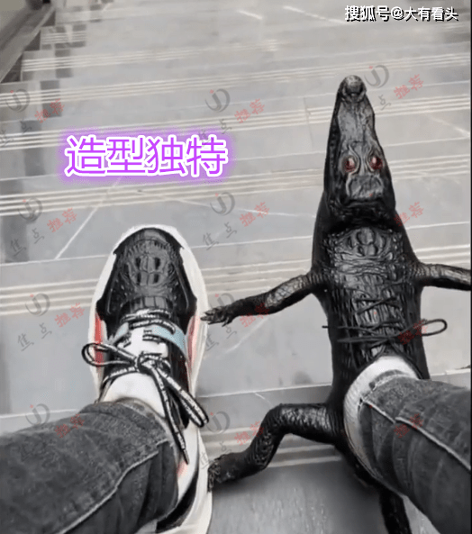 男子穿鳄鱼皮鞋上街路人纷纷围观网友这个应该是真皮