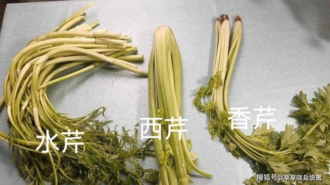 为何有"芹献"之说呢?_芹菜_食材_古人