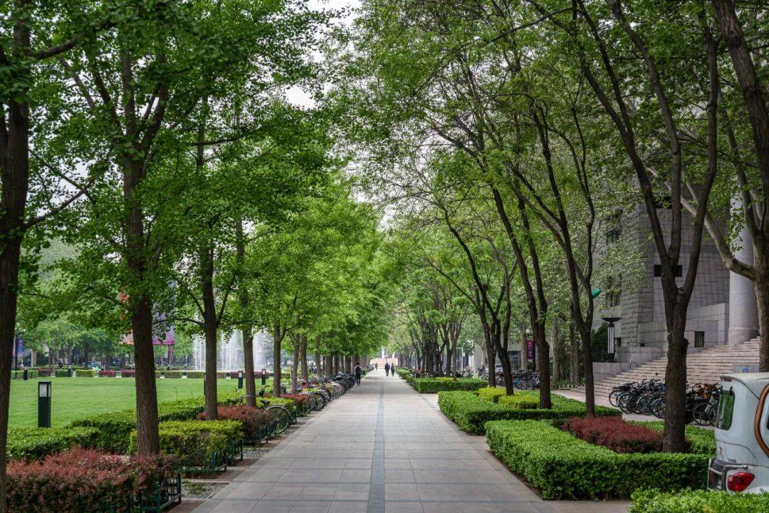 清华大学111周年盘点校内建筑