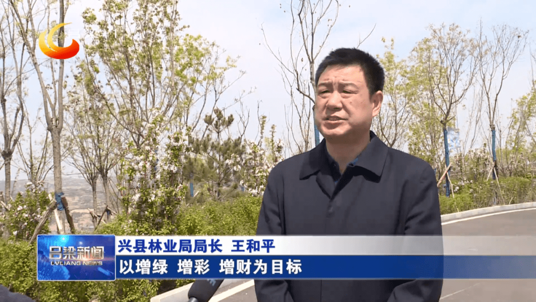 【同期】兴县林业局局长 王和平:我们以黄河流域生态修复为抓手,以增
