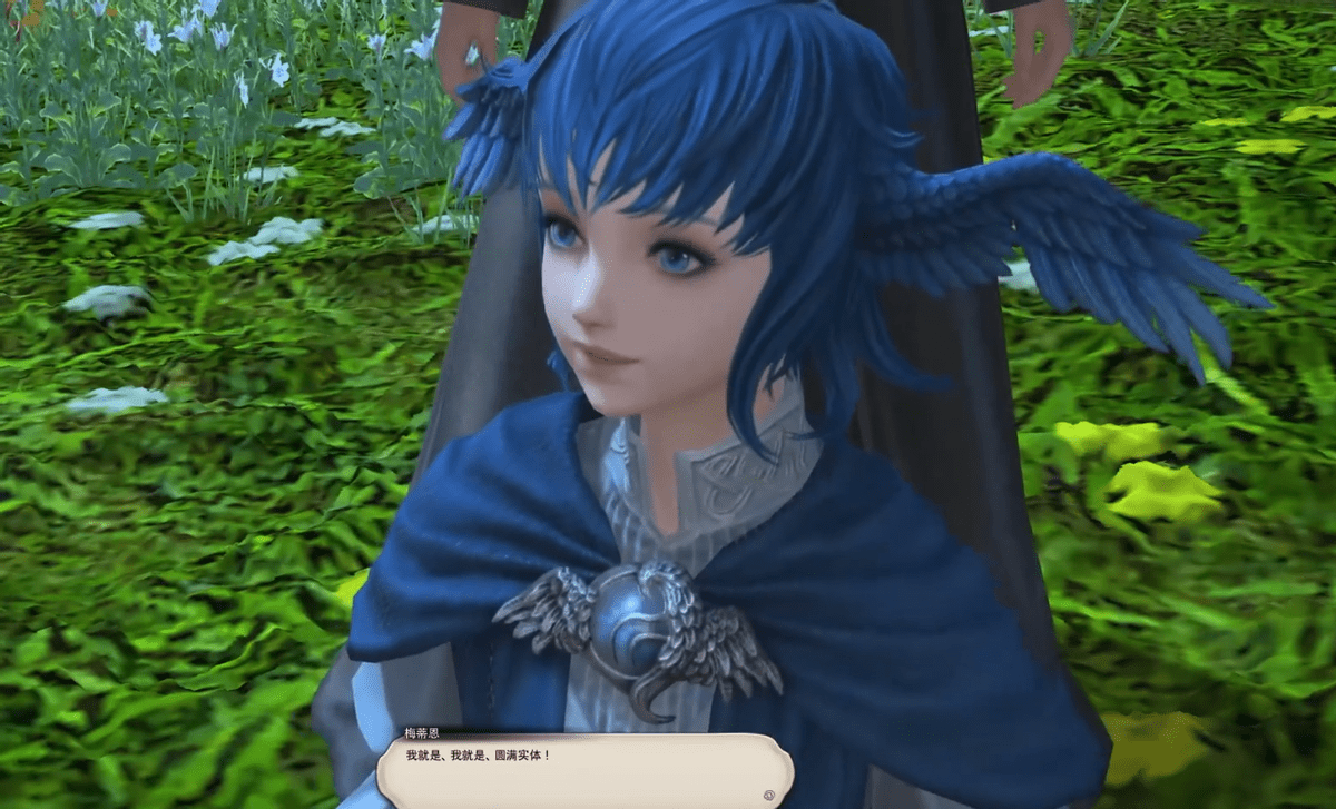 动物保护者能有多魔怔?不听劝阻乱放生,把自己命也搭进去!