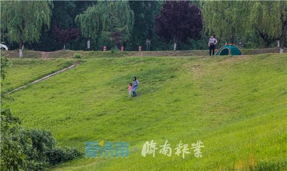 爱航拍|太美了，槐荫这里竟然藏着一片“草原”！