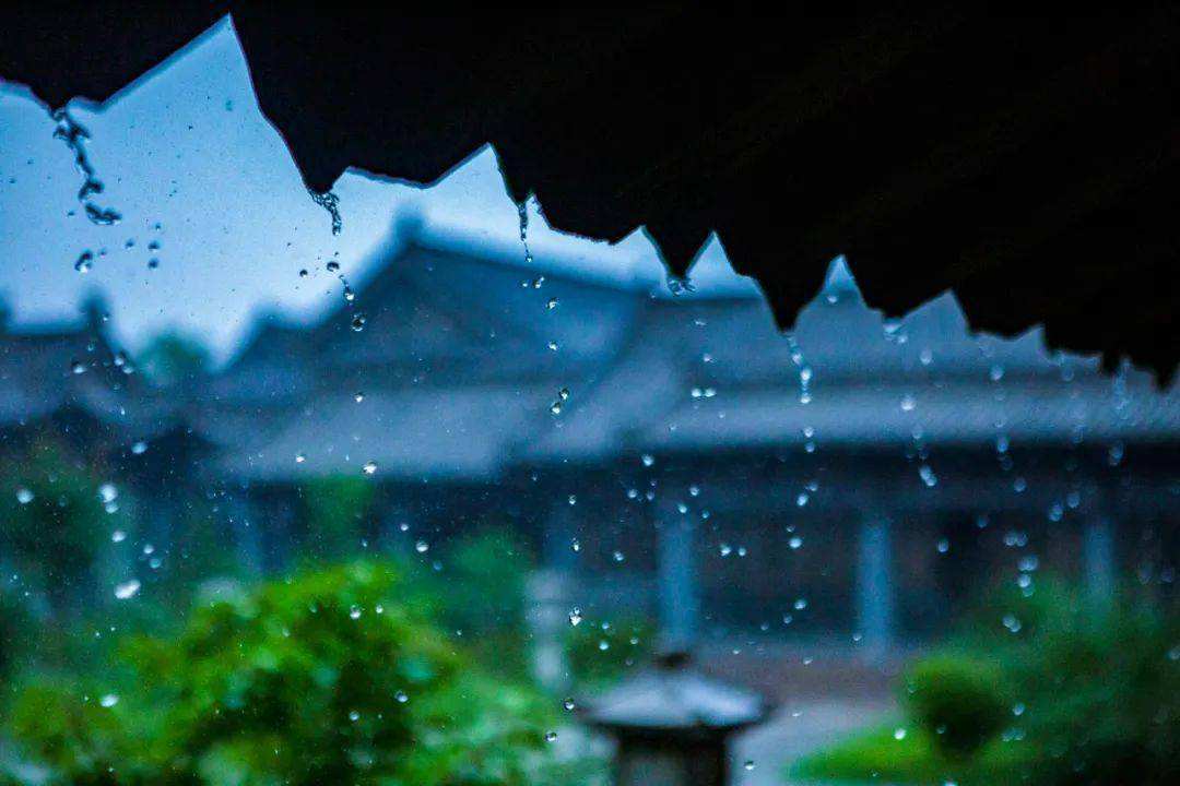 杭州西湖雨景图片大全图片