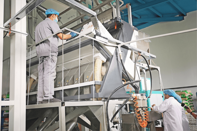 优加双利与营养师联合溯源胚芽米营养价值高搭配谷物更科学