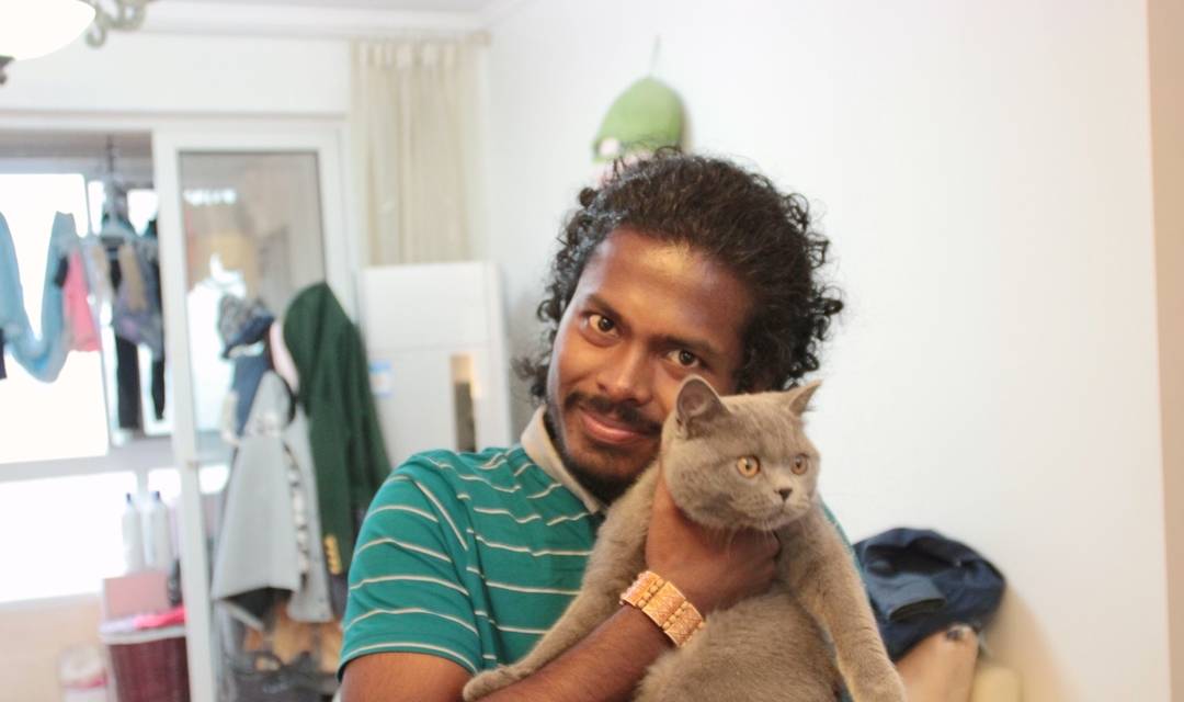 沐米猫舍 英短猫咪生病了一直叫怎么办?_叫声_时会_状态