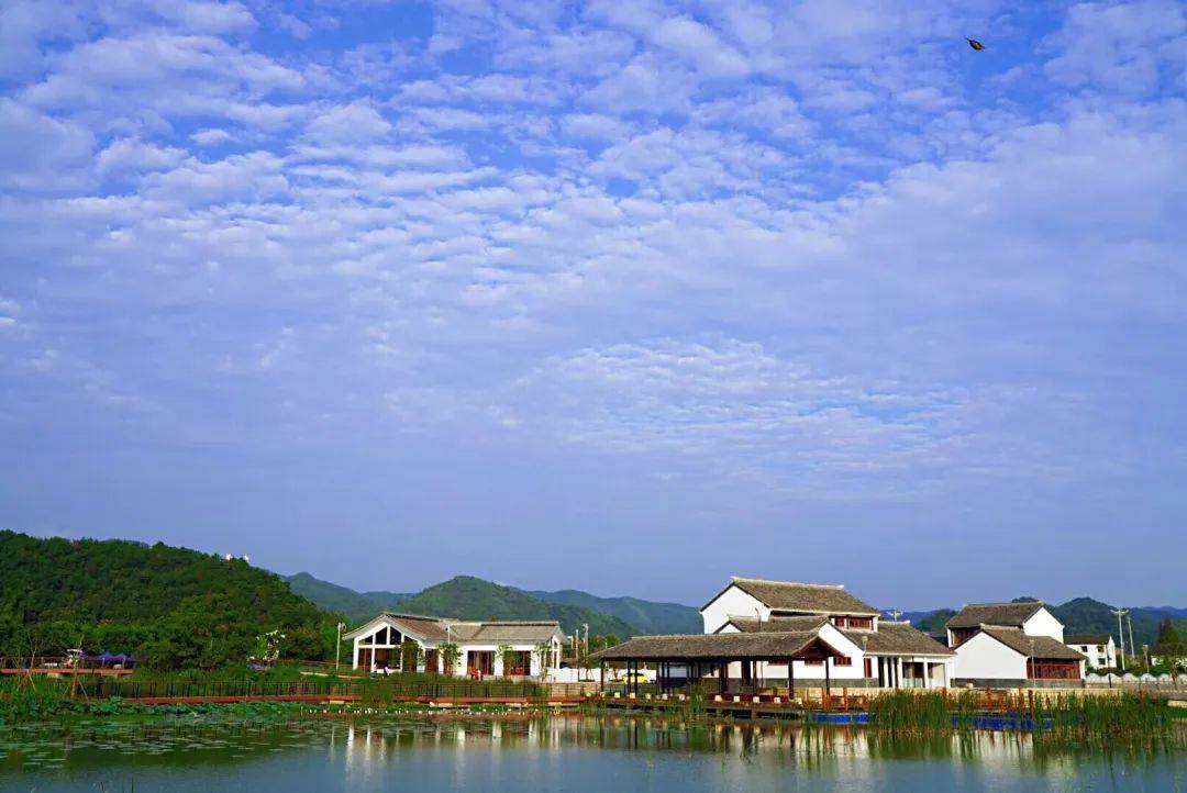 03東錢湖下水溼地東錢湖旅遊度假區上水帳篷營地上水帳篷營地【景區