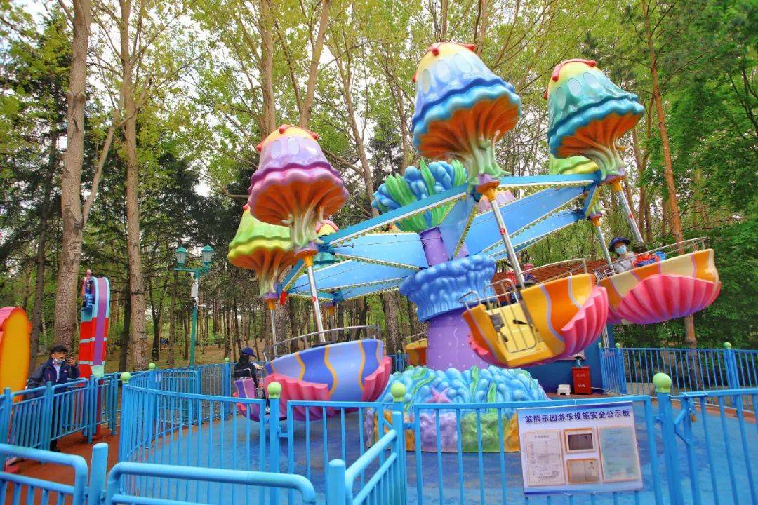 去太阳岛笨熊乐园?带上这份指南,让你乘兴而至快乐而归!_游乐_造型_音