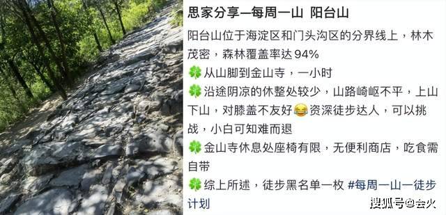 央视李思思带儿子徒步4小时，坐地上拍照不嫌脏，下巴削尖太抢镜