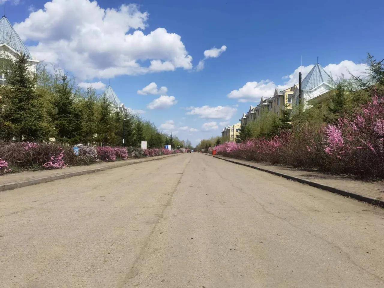 黑龙江绥滨县忠仁镇:春暖花开 人居环境整治正当时