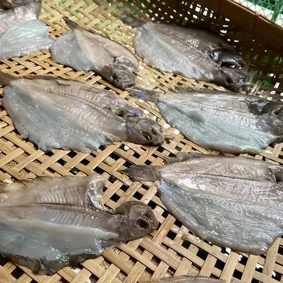 这种鱼是云吞面美味的秘诀,少了它就不地道了_大地_汤底_鱼身扁