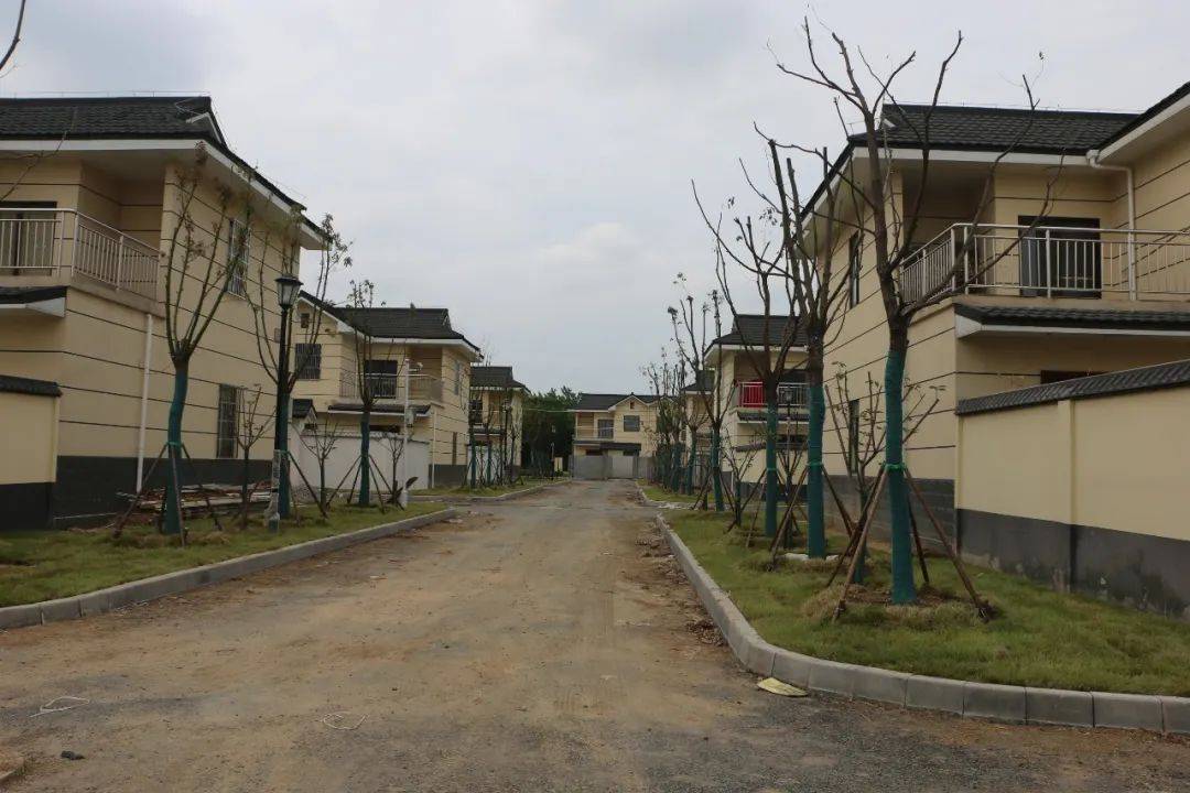 调研中,王荣村一行先后来到长丰县双墩镇富民村《富民家园》和吴山镇