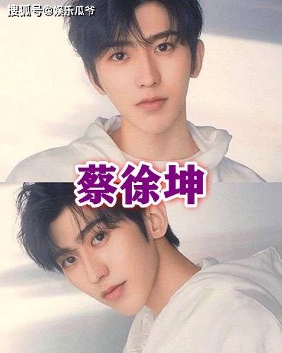 被"网暴"的明星,赵丽颖蔡徐坤浴火重生,她因"作"被骂火_肖战_虞书欣