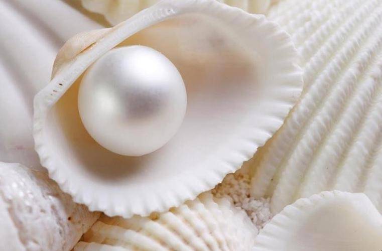 珍珠母贝是珍珠吗 源生珠宝 功效 装饰 药材