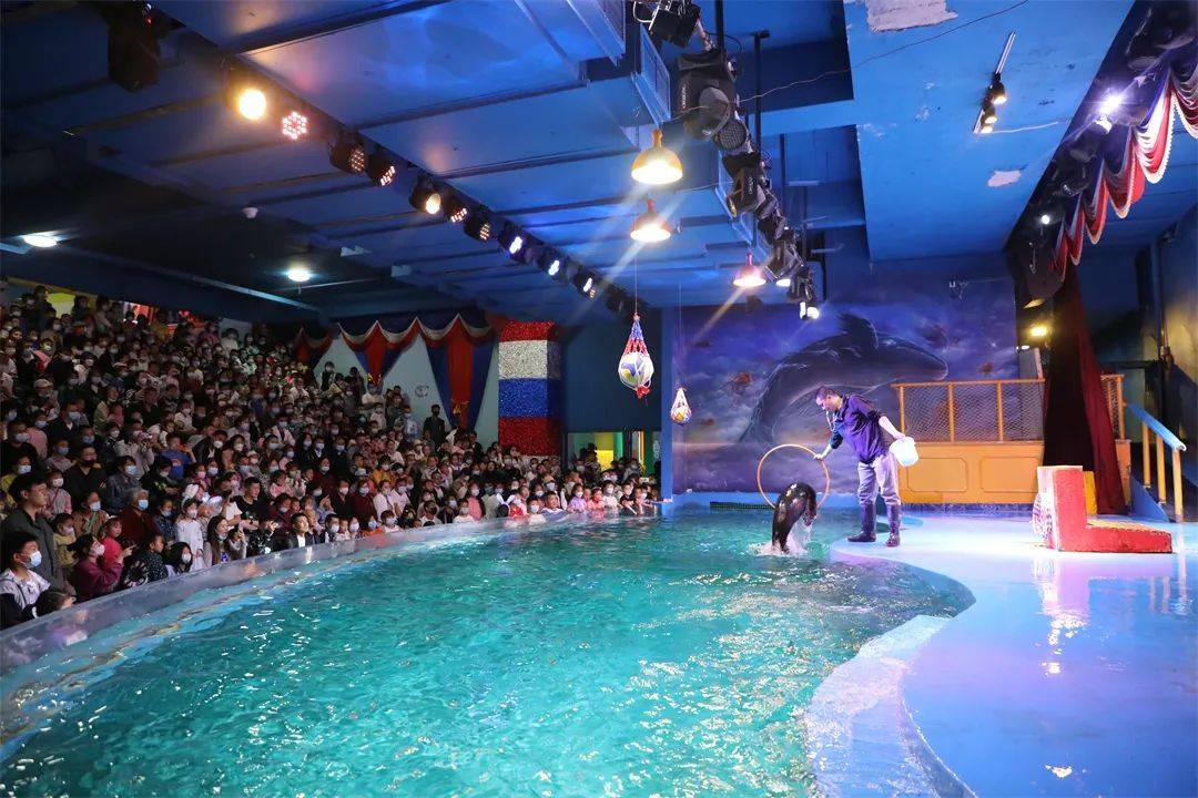 梦幻和浪漫指数五颗星~在金延安,你可以开启一场海洋探索之旅,幻太奇