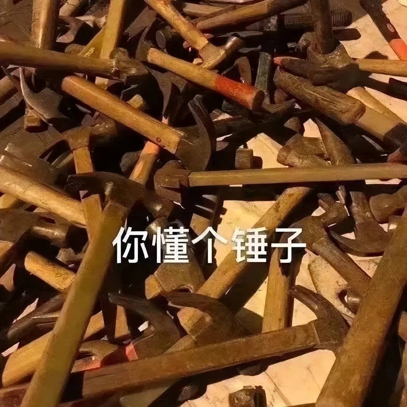 给小猫起名字_小猫起名字招财霸气不俗气_小猫起名字大全可爱