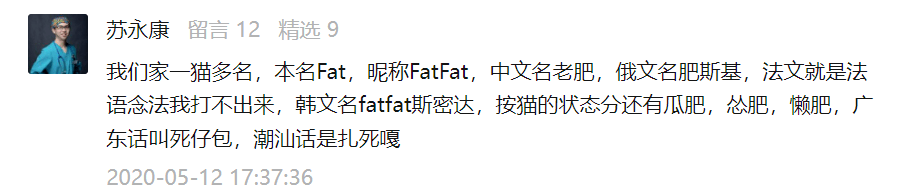 给小猫起名字_小猫起名字大全可爱_小猫起名字招财霸气不俗气