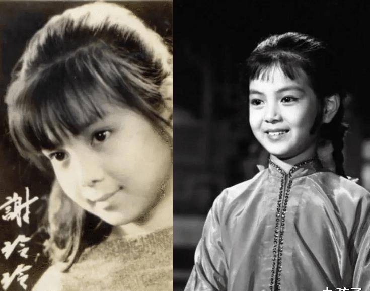 谢玲玲_林建岳_林百欣