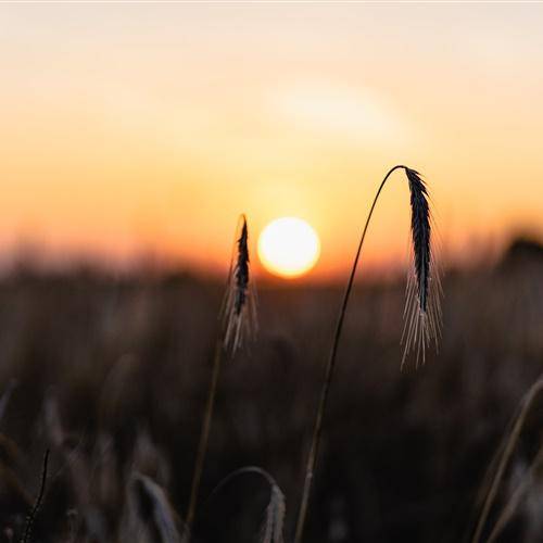 夕阳风景头像光景交融的日落黄昏的夕阳唯美图片