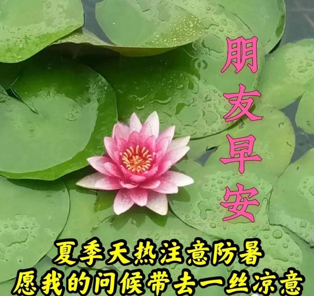 5月21日小满最有创意好看的早安早上好图片2022早安问候祝福图片文字