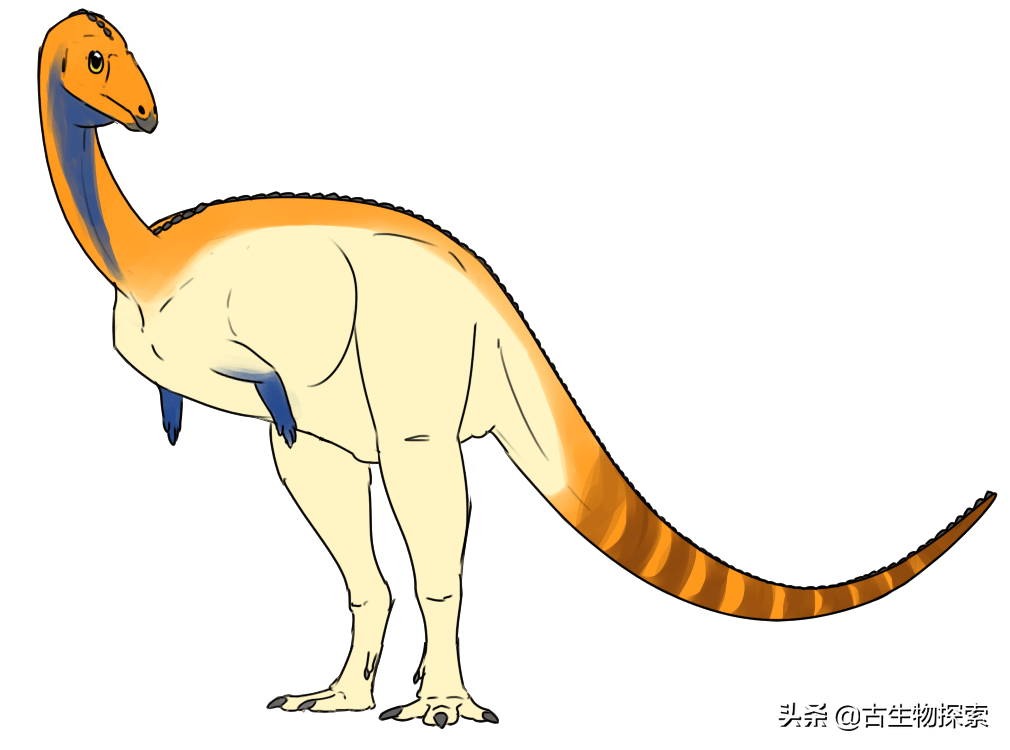 原创三角洲奔龙超速高手还是呆萌吃货